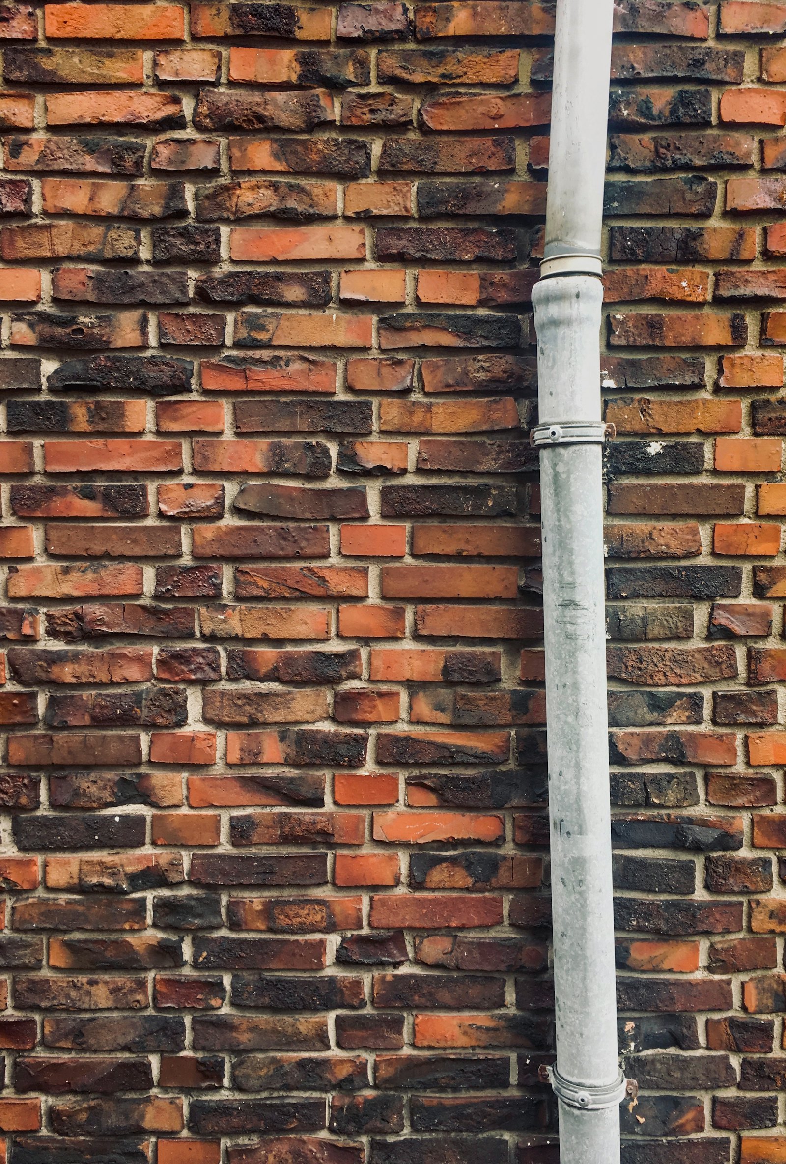Ditter Plumbing Company Inc — plumber in Elkridge, MD